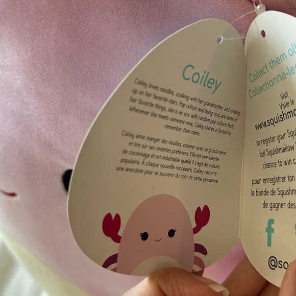 NEW with tags - Cailey Squishmallows Pink Crab Plush Toy - Large - Picture 5 of 8